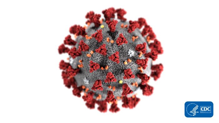 This illustration, created at the Centers for Disease Control and Prevention (CDC) by Alissa Eckert, MS and Dan Higgins, MAM, reveals ultrastructural morphology exhibited by coronaviruses.